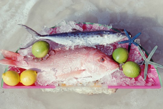 New U.S. Dietary Guidelines Decidedly ‘Fishy’