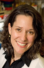 Brenda A. Schulman, PhD