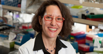 Brenda Schulman, PhD