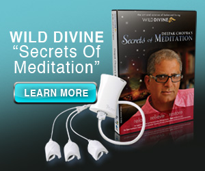 Healing Video Games. Biofeedback Software for Guided Meditation. The Wild Divine.