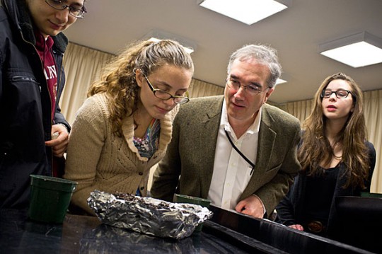 Justin Ide/Harvard Staff Photographer Earthworms took center stage at John Knowles Paine Hall last month as students in a freshman seminar re-created Darwin’s experiment exploring the creature's hearing. Arnold Professor of Organismic and Evolutionary Biology Ned Friedman (third from left) and students peer at worms to see if they are responding to sounds, below, the stars of the show.