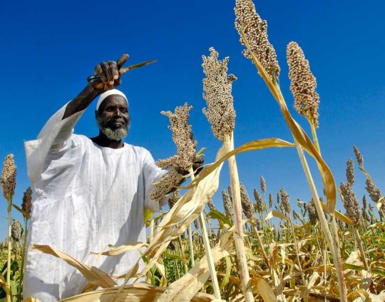 UN rural poverty agency unveils billion-dollar funding target/ Photo: FAO