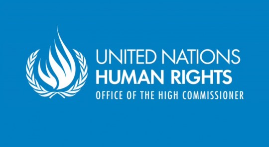 UN Office of the High Commissioner for Human Rights (OHCHR)