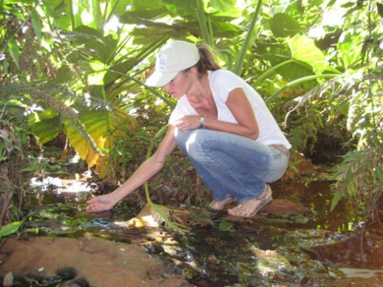 Around 40,000 saplings were planted during the first phase of Gisele's Projeto Agua Limpa (Clean Water Project). Photo Credit: Personal Archive