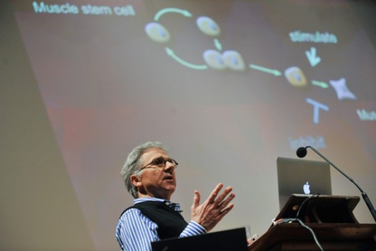 “We genetically modify foods. Why not stimulate muscle cells and inhibit fat stem cells and brain stem cells?” asked Douglas A. Melton, a leading light in stem cell research.
