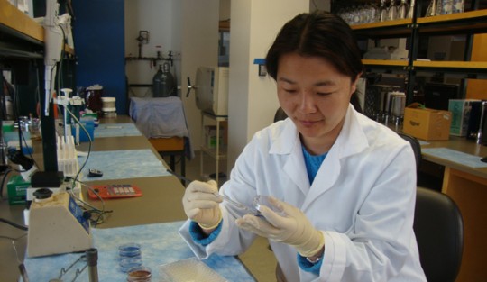  Ling Zhan, DDS, PhD