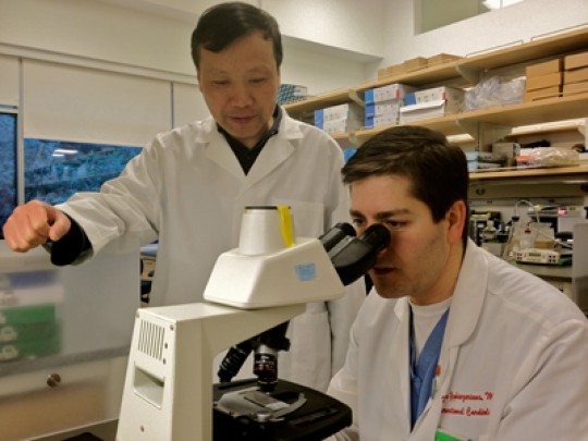 Jianqin Ye, MD, left, and Yerem Yeghiazarians, MD, examine a cell sample at the UCSF Eli and Edythe Broad Center of Regeneration Medicine and Stem Cell Research.