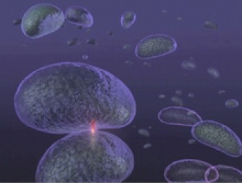 A bacterium delivers a lethal injection to another cell. Illustration by Everett Kane.