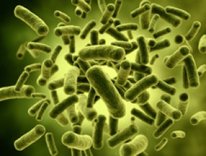 The Healthy Human Microbiome