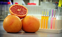 Nanovectors derived from grapefruits can efficiently deliver a variety of therapeutic agents. Image courtesy of Zhang lab.