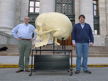 David S. Jones (left) and Dominic Hall (right) take a break with the giant skull in front of Gordon Hall. Image: Jake Miller