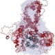 Brown-led research divines structure for class of proteins