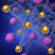 A Mix of Tiny Gold and Viral Particles – and the DNA Ties that Bind Them