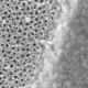 Nanomodified surfaces seal leg implants against infection
