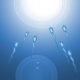 Male Fertility: Boosting Your Baby-making Power