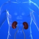 Treatment Helps With Kidney Transplants