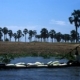 FAO-Italy project seeks to head off future problems in the Nile Basin