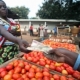 World hunger report 2011: High, volatile prices set to continue ... 