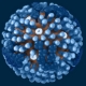 DNA Primer Boosts Antibodies Against Avian Flu.