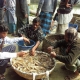 Food for Progress Project in Bangladesh Helps Develop Prawn Farming
