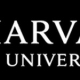 Harvard Thinks Big - Act Big: Dare to See – Kaia Stern