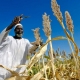 UN rural poverty agency unveils billion-dollar funding target