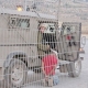 UNICEF welcomes Israel’s release of Palestinian child detainees