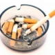 Why Nicotine is a Gateway Drug
