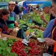 Can medical center-based farmers markets improve community health?
