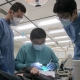 UCSF School of Dentistry to Offer Free Dental Care for Children