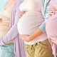 Gut Microbes Influence Metabolism During Pregnancy