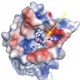 Brain Protein Structure Offers Clues for Drug Design