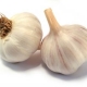 Garlic as a Dietary supplement